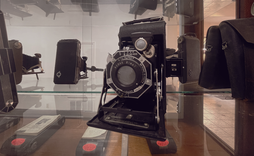 collection gladys-02